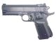 Golden Hawk 5.1 Custom Series Pistol (1:1 Scale - Full Metal Slide - Black)