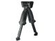 Tactical Extendable Bipod and Foregrip (Black)