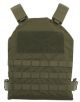 CCCP Basic Plate Carrier Vest with with Dummy Plate (OD)